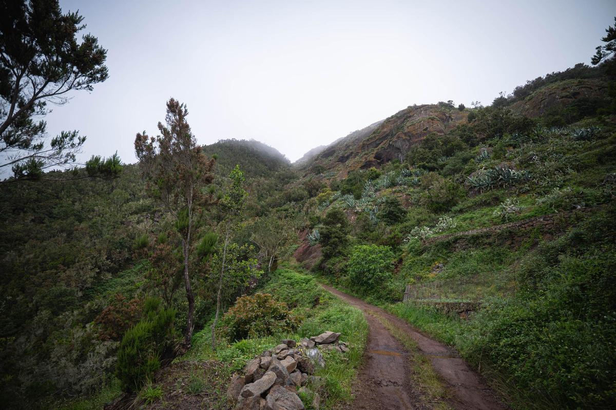 El Cresal, en Santa Cruz de Tenerife