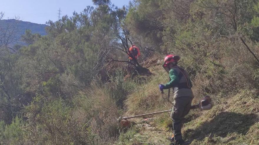 Desbroces de caminos para el Trail de Vilatuxe