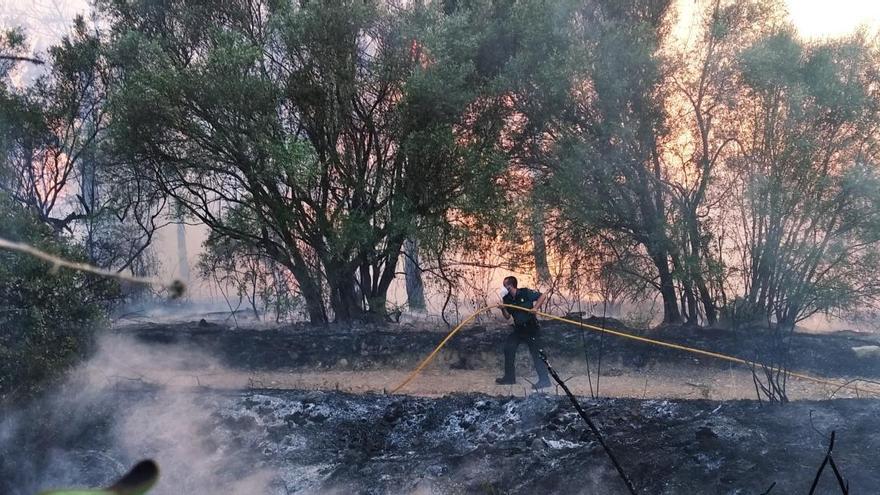 Un guardia civil tira de manguera en el incendio de Els Benimadrocs de Xàbia