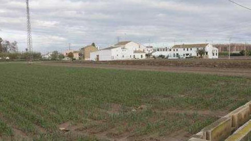 La Universitat de València pide a Barberá que retire el PGOU y preserve la huerta