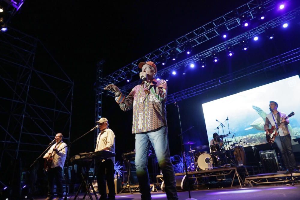 Concierto de The Beach Boys