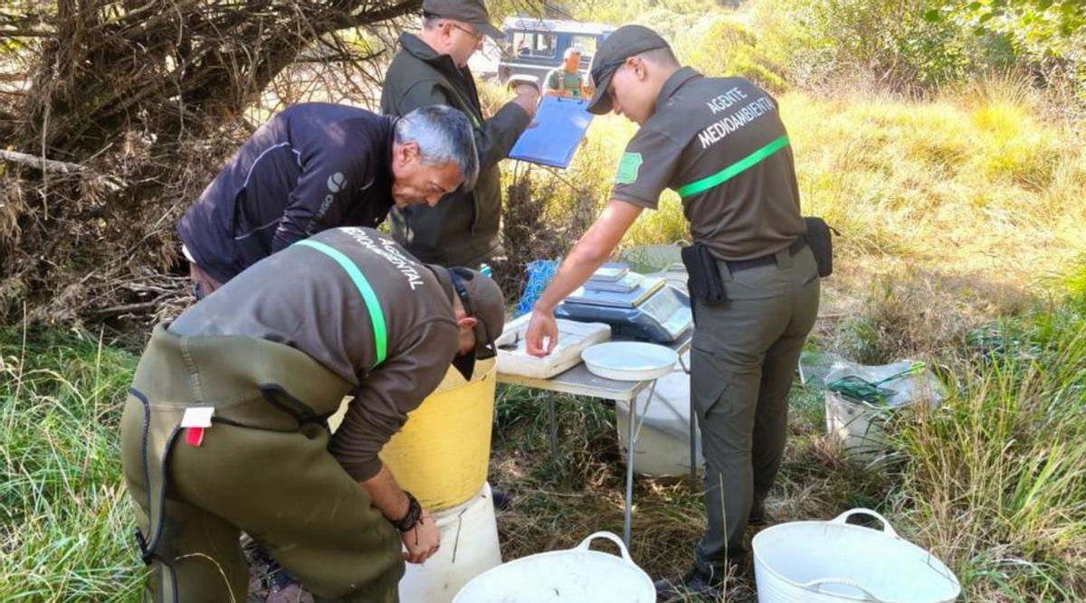 Participantes en la iniciativa revisan las muestras recogidas. | A. S.