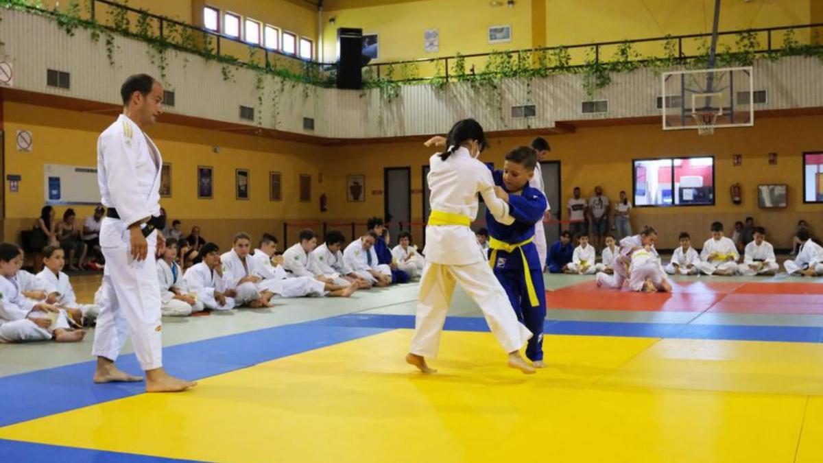 El Paco Paz albergó el fin de semana la Copa Diputación de judo.