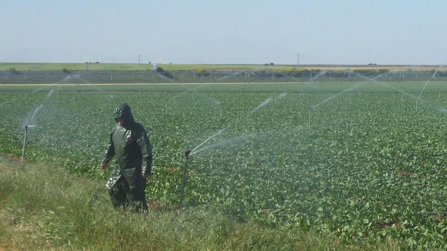 Un agricultor zamorano revisa el sistema de riego implantado en su parcela cultivada. |