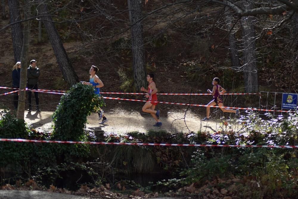 Cross Fuentes del Marqués (IV)