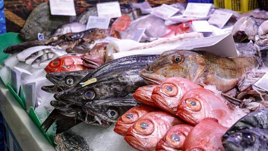 La Universidad de Oviedo desarrolla un test para detectar toxinas en el pescado