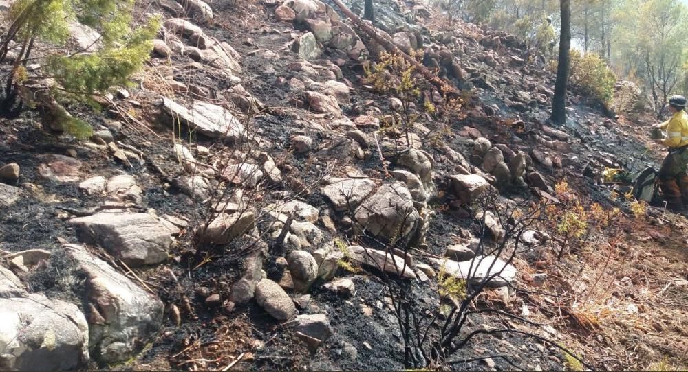 Incendio forestal en El Higuerón en Mijas