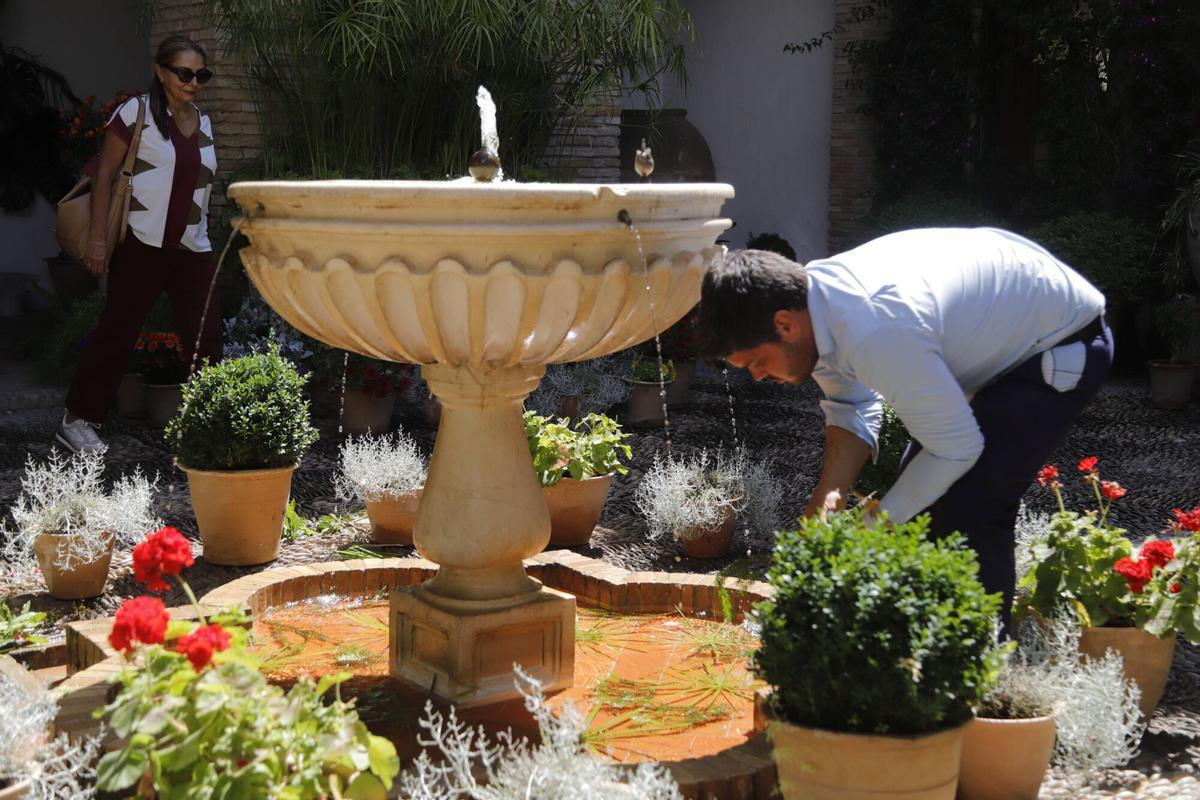 A.J.González
Córdoba
Concurso de patios 2026 Ruta 1 Santa Marina 
Patio del Palacio de Viana