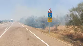 El Infoex activa el nivel 1 en un incendio forestal en Oliva de Mérida