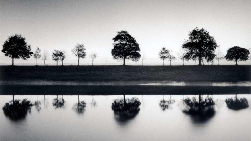 &quot;Reflecting Trees&quot;, una de las fotos de la exposición.