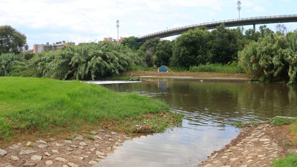 El riu Besòs, al seu pas per Santa Coloma de Gramenet, amb el parc fluvial tancat per abocaments tòxics. | LAURA FÍGULS / ACN