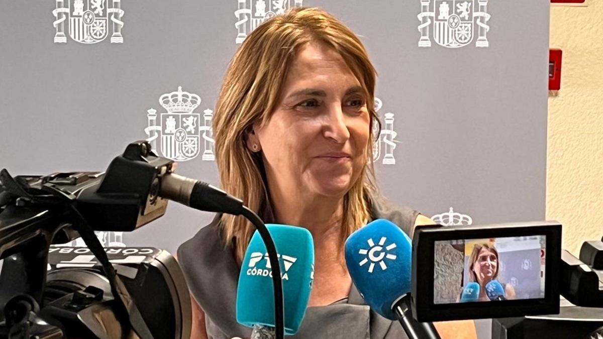 La subdelegada del Gobierno en Córdoba, Ana Mª López Losilla, responde a las preguntas de los medios antes del inicio de la reunión.