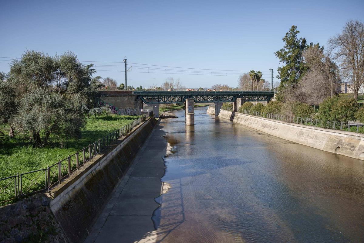 Así avanzan las obras del nuevo puente ferroviario sobre el Río Albarregas de Mérida Así avanzan las obras del nuevo puente ferroviario sobre el Río Albarregas de Mérida