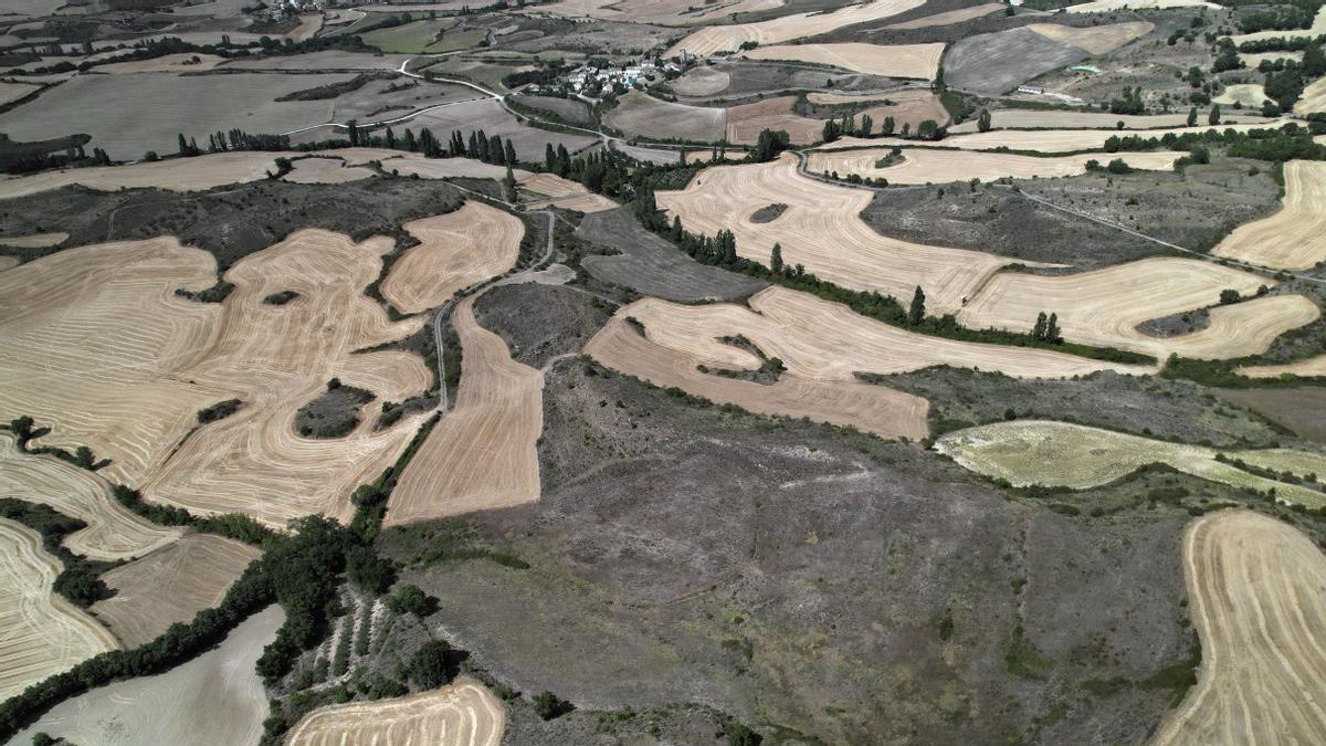 Aspecto que presenta una zona de Tierra Estella donde se aprecia la situación de sequía.