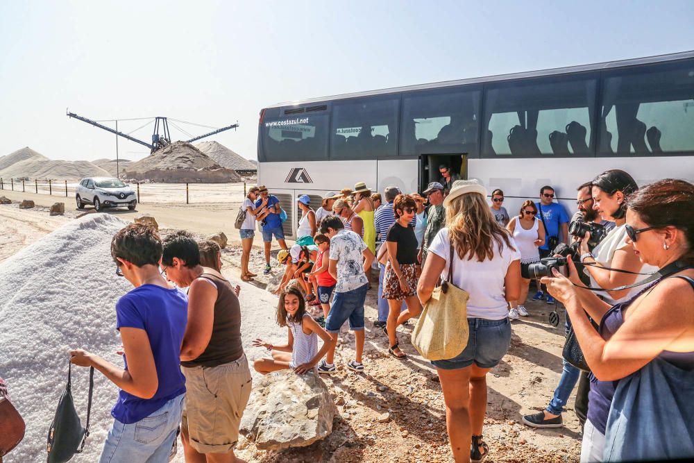 En torno a medio centenar de turistas estrenaron las visitas guiadas a las salinas de Torrevieja, que pretenden normalizarse el verano que viene