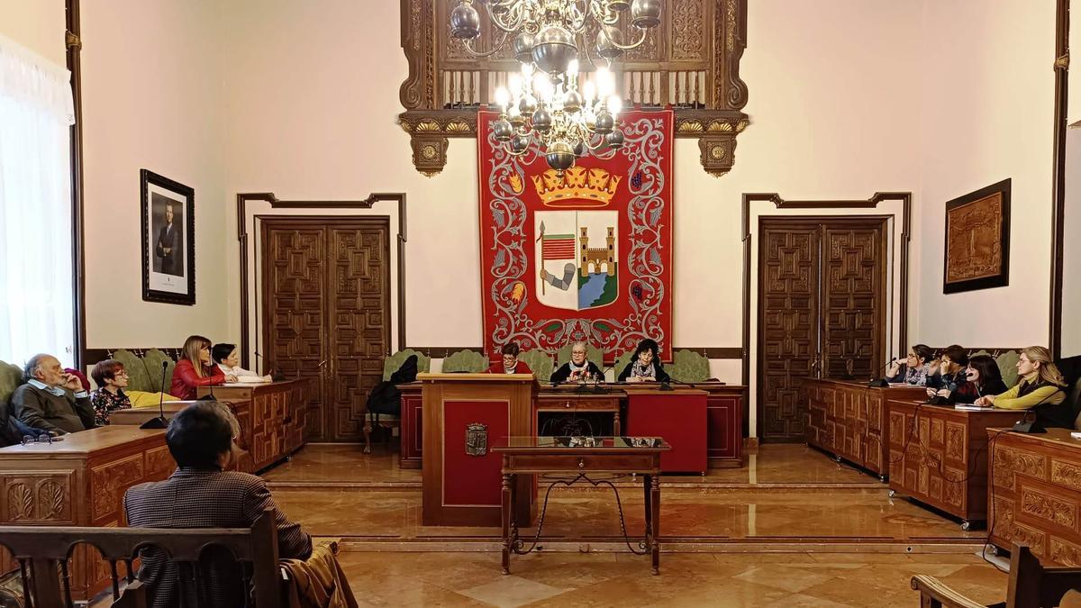 Consejo Municipal de la Mujer de Zamora.