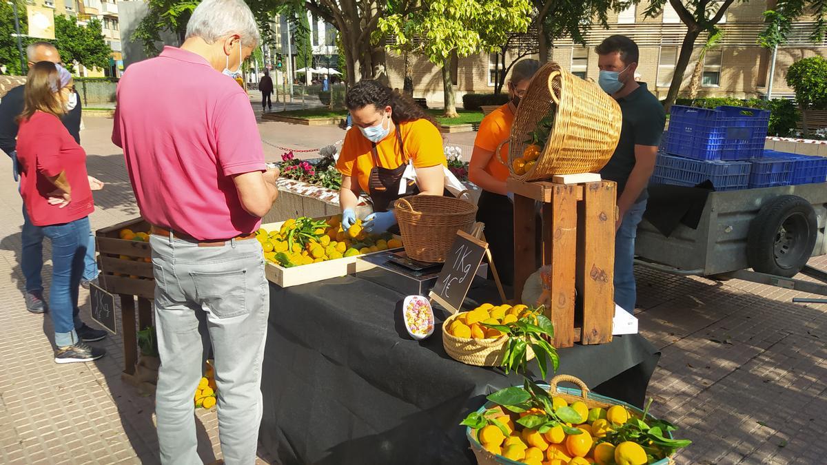 Imagen de la Fira de la Taronja en la plaza Fadrell de Castelló.