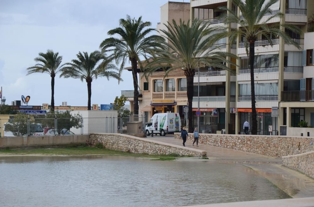 November-Wetter auf Mallorca - den Surfern gefällt's