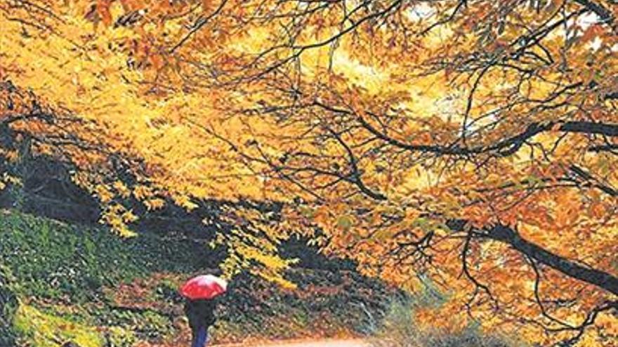 El otoño pinta de colores los paisajes del Valle del Jerte