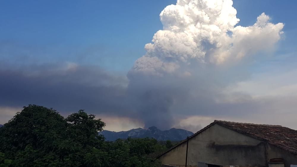 Incendio forestal en Llutxent