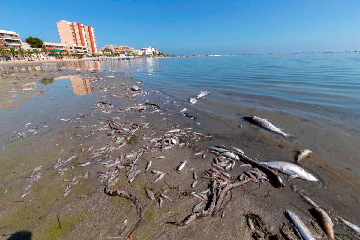 Ya son 150.000 las firmas que exigen protección para el Mar Menor