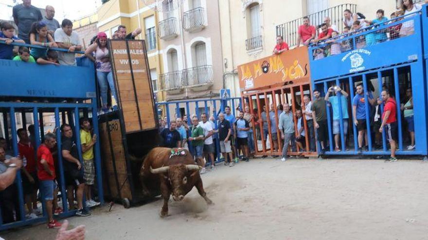 Los festejos taurinos ganan protagonismo estos días en la provincia de Castellón