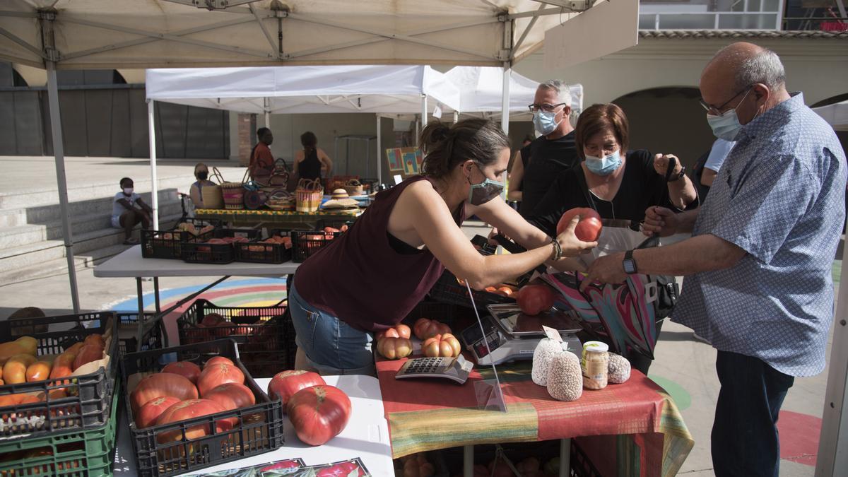 Un dels estands a la plaça Puigmercadal en la Festa del Tomàquet