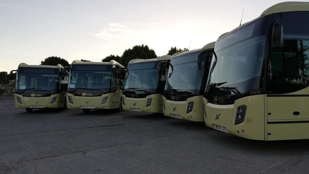 Autobuses del Consorcio de Transportes, en una imagen de archivo.