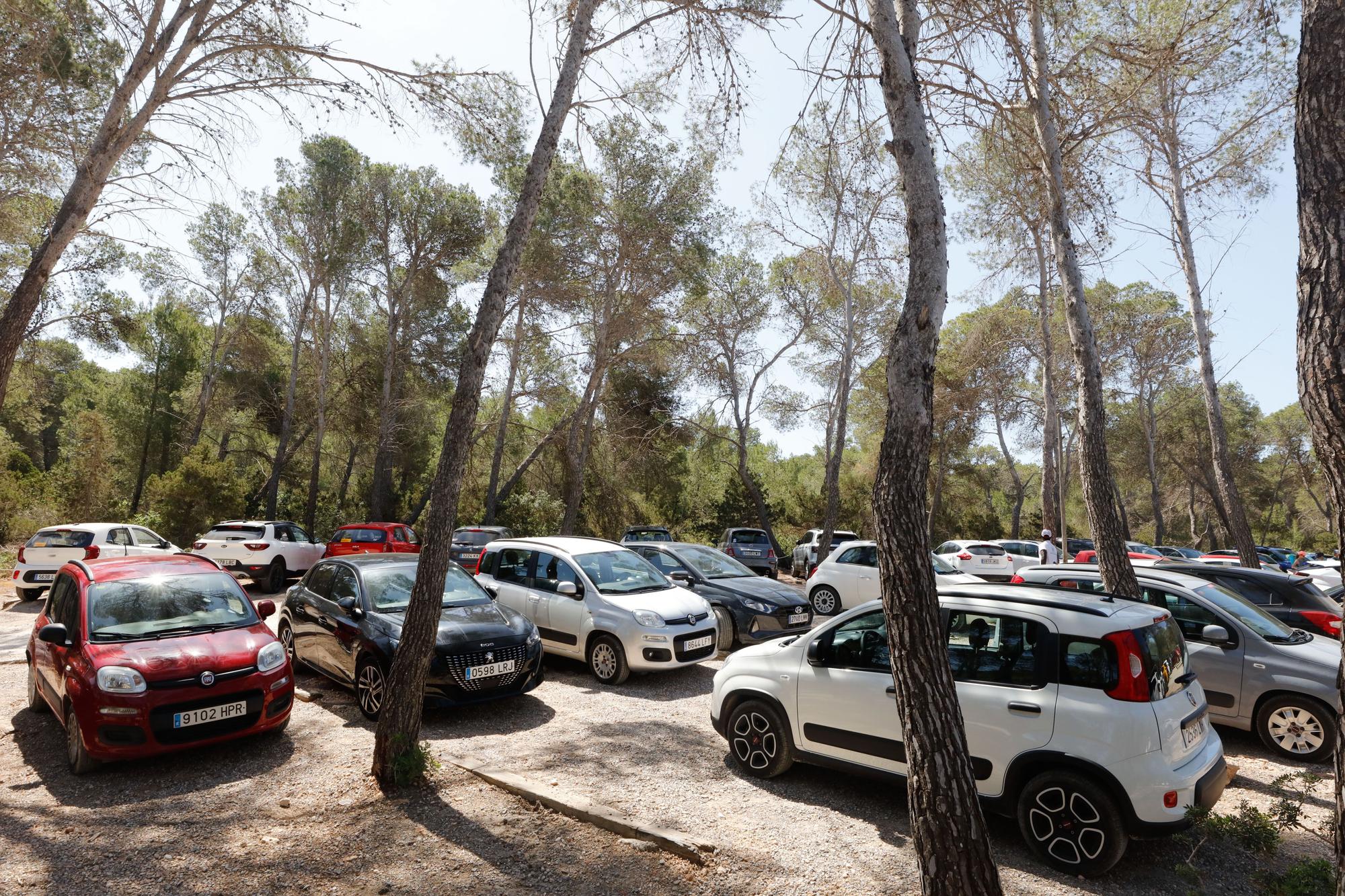 Primer día del servicio de autobús a Cala Salada