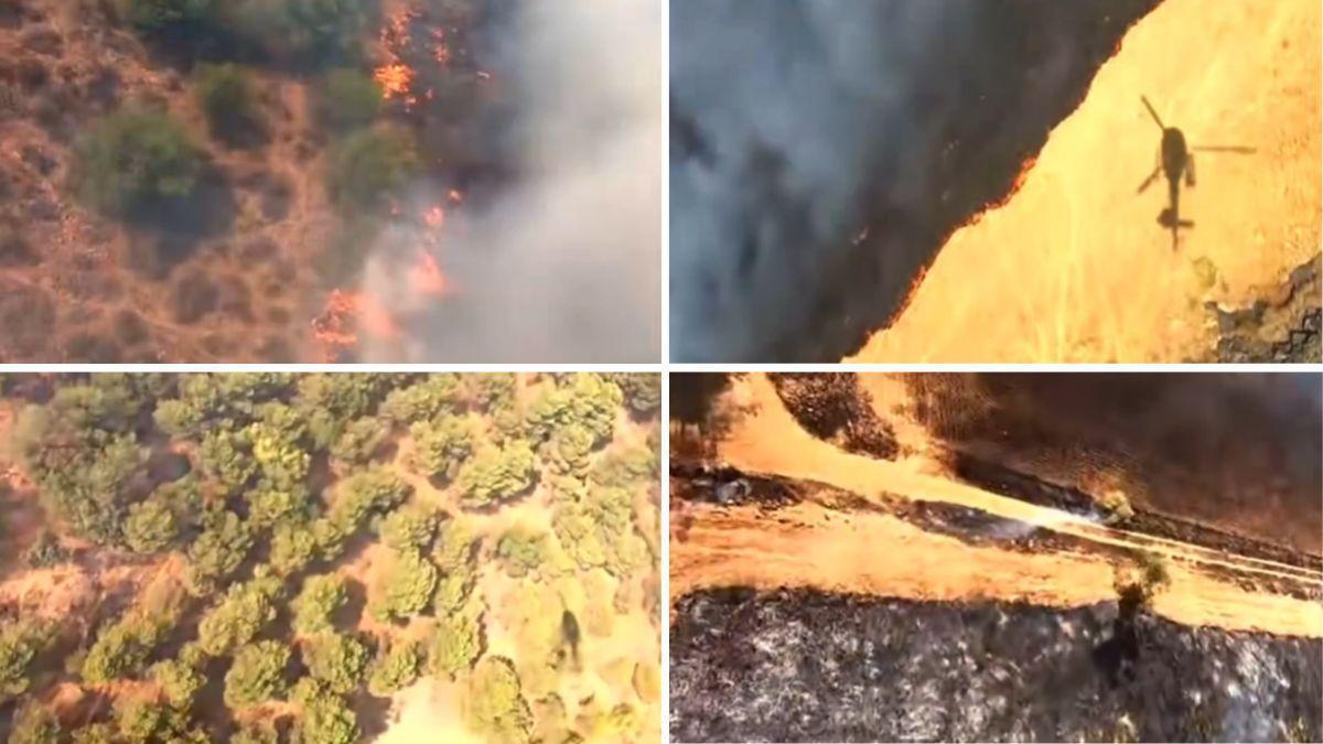 Imágenes del incendio en Don Benito