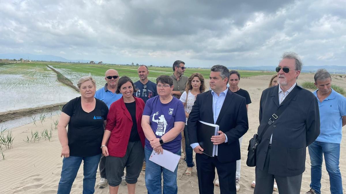 Una veintena de propietarios denuncian al Estado por inacción en el delta del Ebro