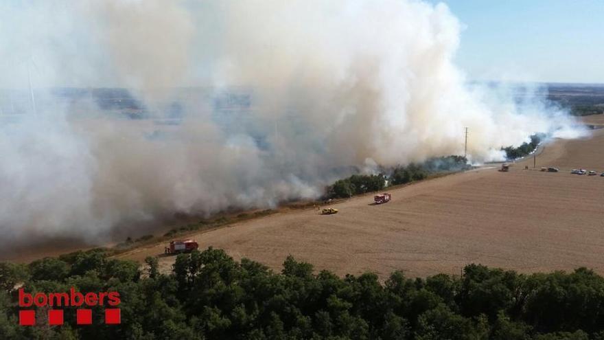 Un segon incendi a l&#039;Anoia crema vegetació agrícola i forestal a Pujalt