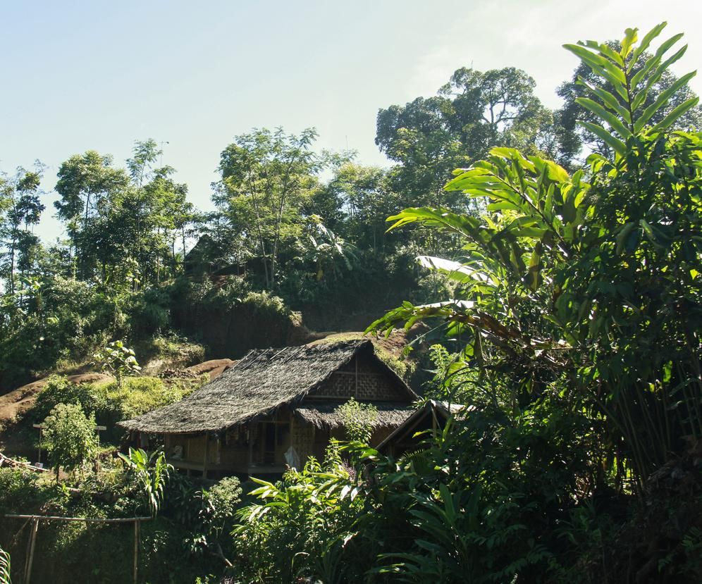 Los hogares tradicionales se mimetizan con la naturaleza.