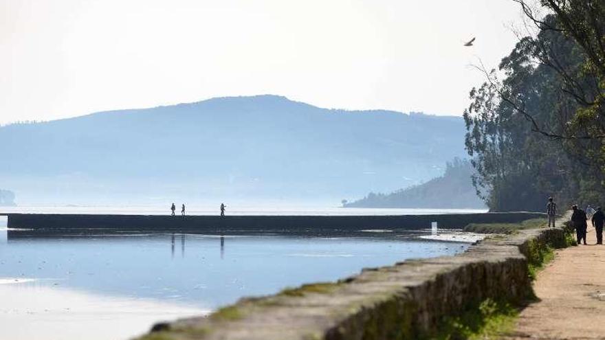 Las salinas de Vilaboa, protagonistas de una de las rutas. // G. Santos