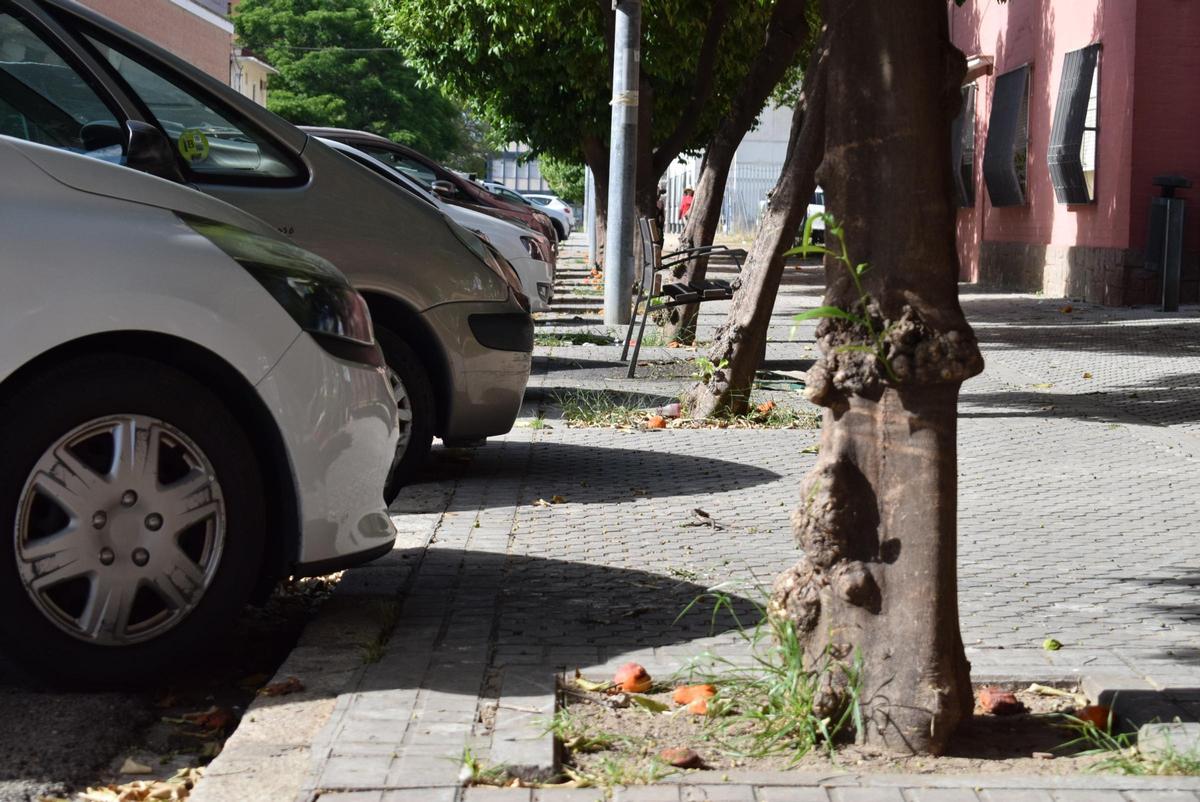 Suciedad y aparcamiento en la calle Tarfia