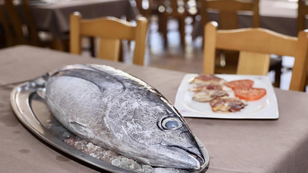 Un ejemplar de bonito del norte en un restaurante asturiano.
