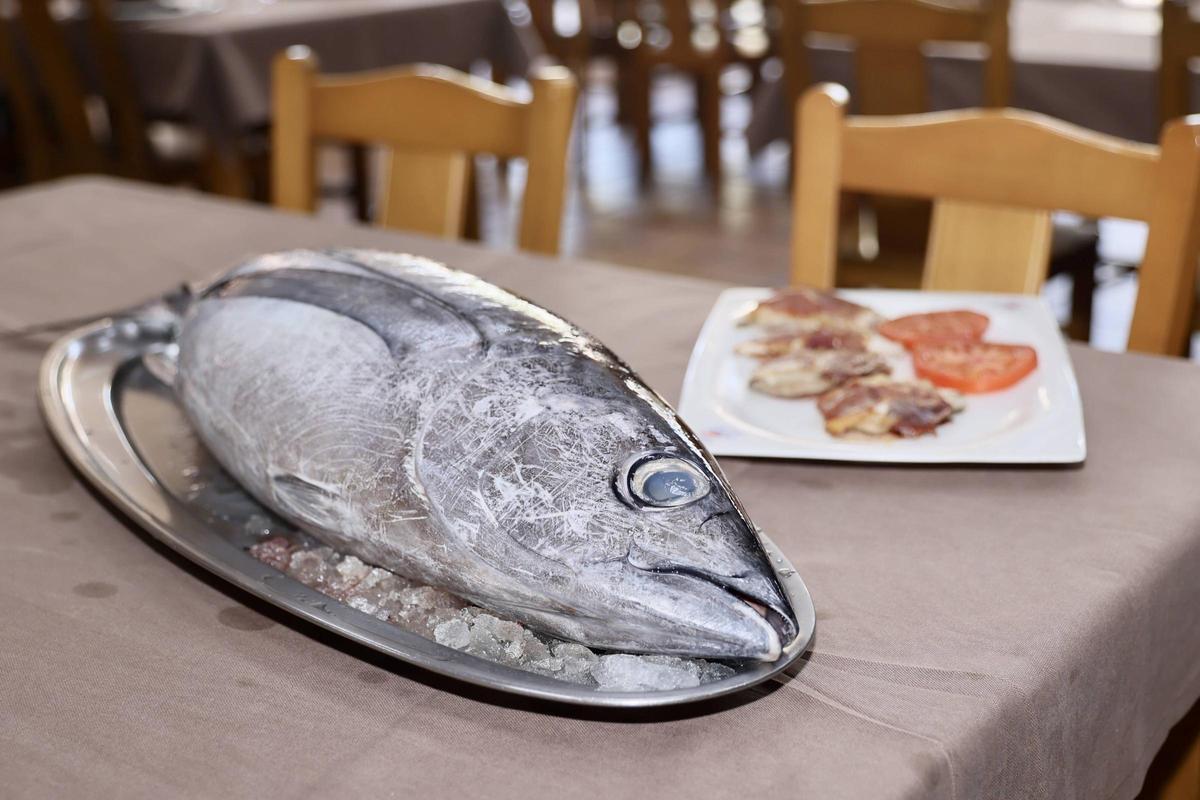 Un ejemplar de bonito del norte en un restaurante de Avilés, para ser preparado.