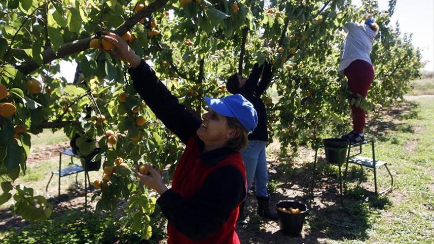 Los sindicatos pactan un nuevo convenio para los temporeros