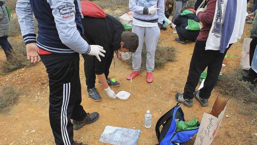 Sobre estas líneas, los alumnos observan la fauna salvaje y realizan mediciones de huellas de animales que han detectado en el terreno. A la izquierda, los escolares recogen muestras de vegetación para elaborar con posterioridad un herbario. A la derecha, un grupo de chavales realiza una limpieza de residuos de las laderas del campo