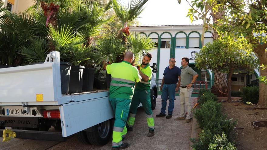 Culmina la polémica obra del muro del colegio García Lorca de Marbella