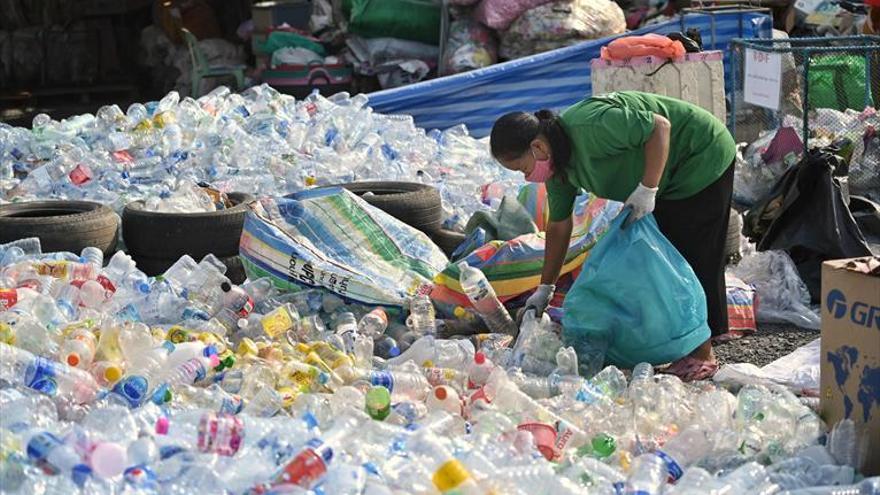 Productos biodegradables van quitando sitio a los plásticos