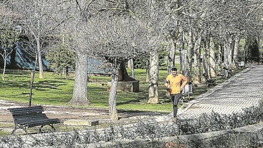 Carrera solidaria nocturna en el parque del Príncipe