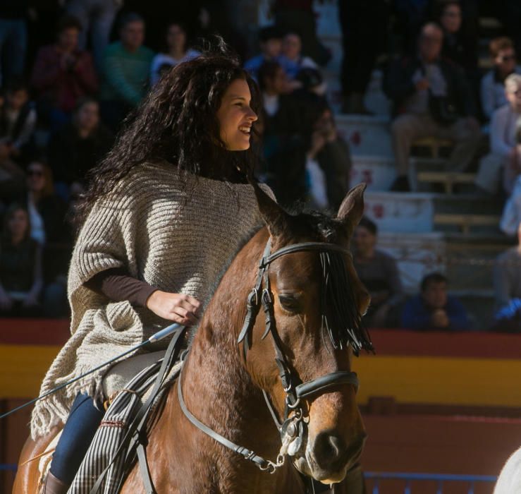 Bendición de los animales por el día de San Antón