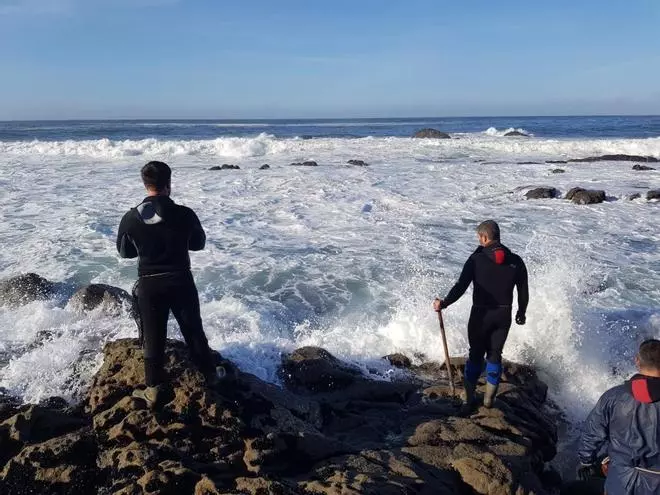 Navidad 2019 | Con el agua al cuello por el percebe de Navidad