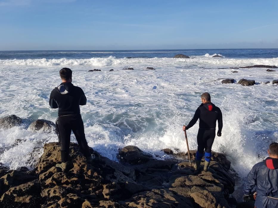 Los percebeiros, esta mañana en A Costa da Vela