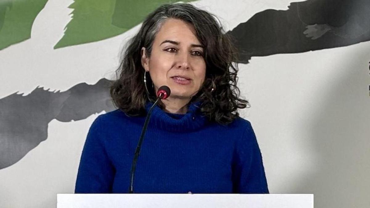 La portavoz de Unidas por Extremadura, Irene de Miguel.