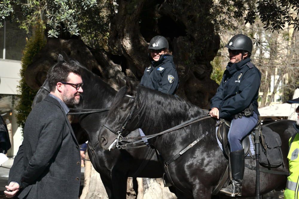 120 policías vigilarán a diario el centro y las zonas de playa de Palma en verano