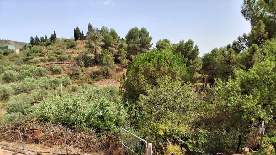 Vecinos de Gátova alertan del “combustible” acumulado en el barranco del Carraixet junto a la Sierra Calderona