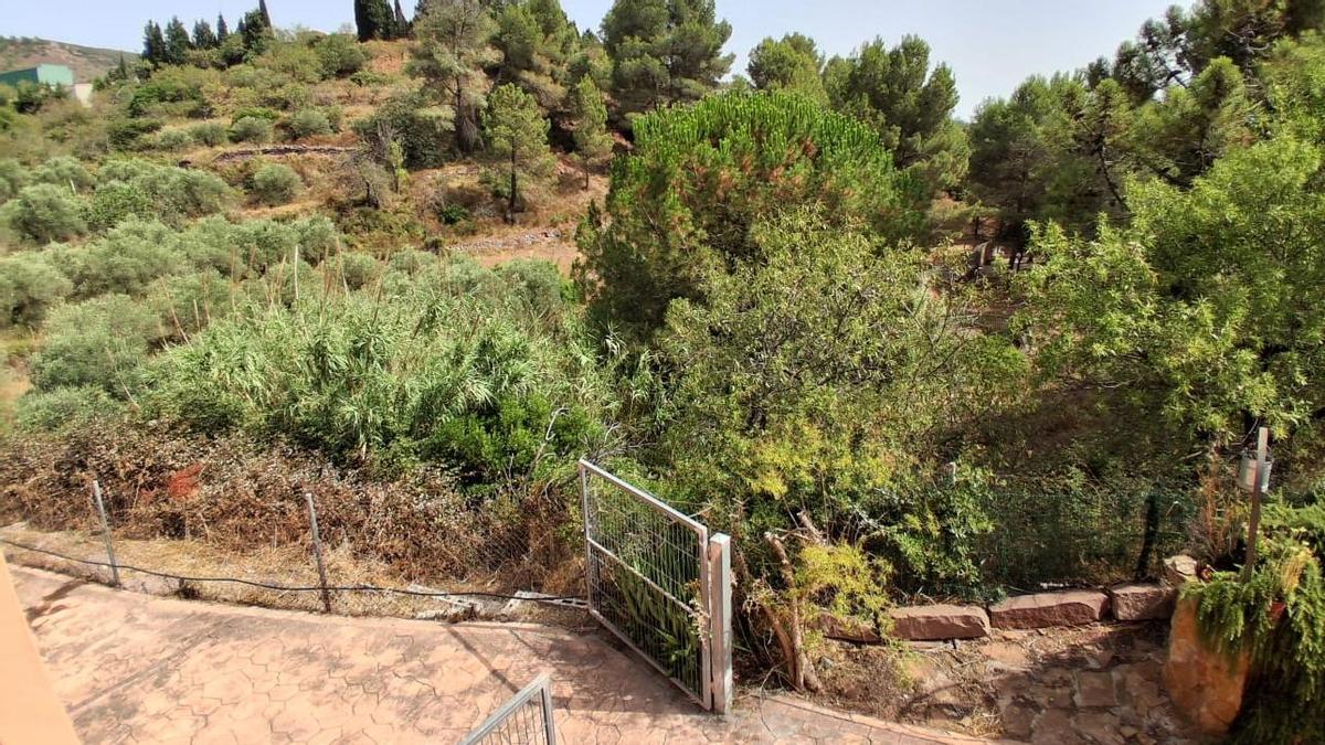 Vecinos de Gátova alertan del “combustible” acumulado en el barranco del Carraixet junto a la Sierra Calderona