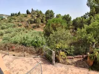 Vecinos de Gátova alertan del “combustible” acumulado en el barranco del Carraixet junto a la Sierra Calderona